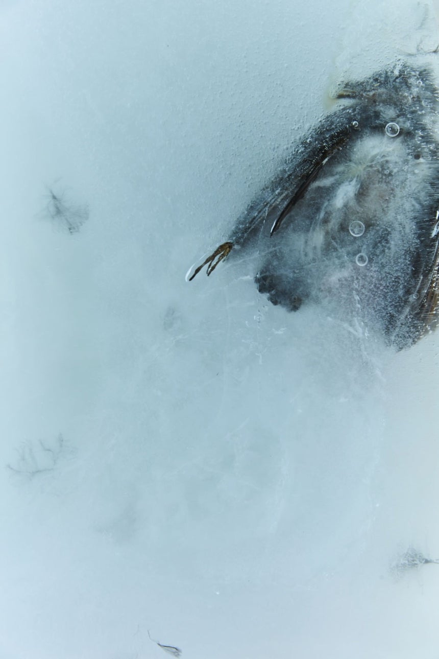 이더 리움 호재 일정 전문가들이 알려주는 핵심 노하우 - 성공을 위한 필수 요소