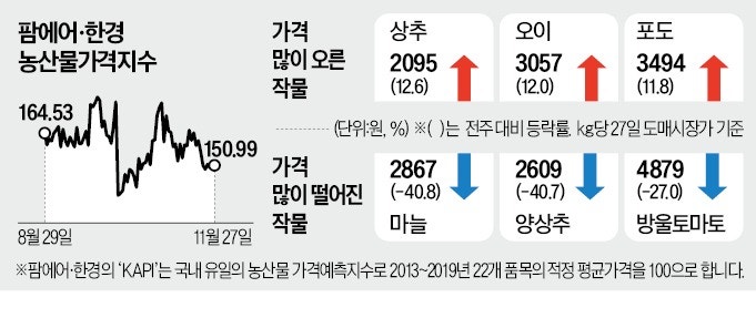 고공행진 하던 양상추, 하락세 전환