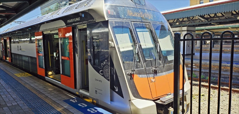 "요즘 이것만 타요" 호주인들 엄지 척…한국 '종이 열차' 뭐길래