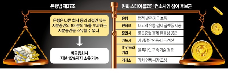 은행법과 충돌…원화 코인 '51% 룰' 딜레마