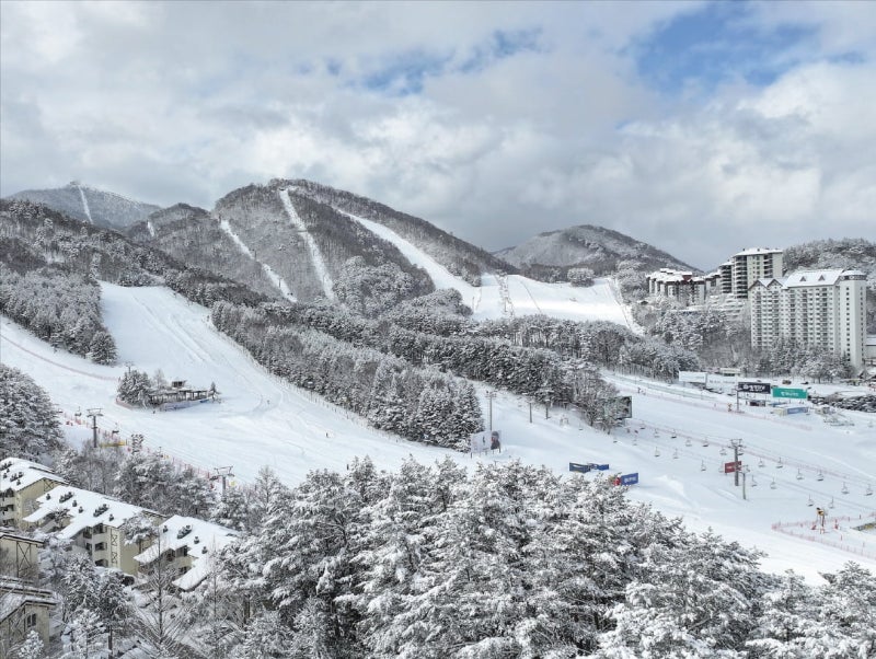 모나용평, 스키 넘어선 머무는 겨울 여행지…'발왕산 힐링' 사계절이 즐겁다