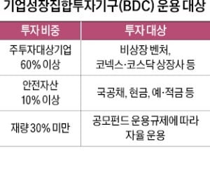 비상장사 쉽게 투자…'BDC' 윤곽 나왔다