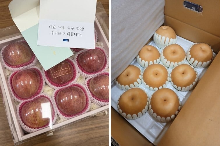 <b>사과</b>·배는 무슨 죄?…조국당 '<b>사과</b>' 안 받고 '<b>배</b>'로 갚은 국힘