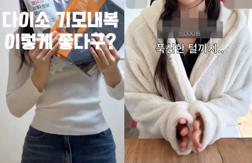 다이소 겨울 의류를 입은 인플루언서 모습./출처=인스타그램,유튜브