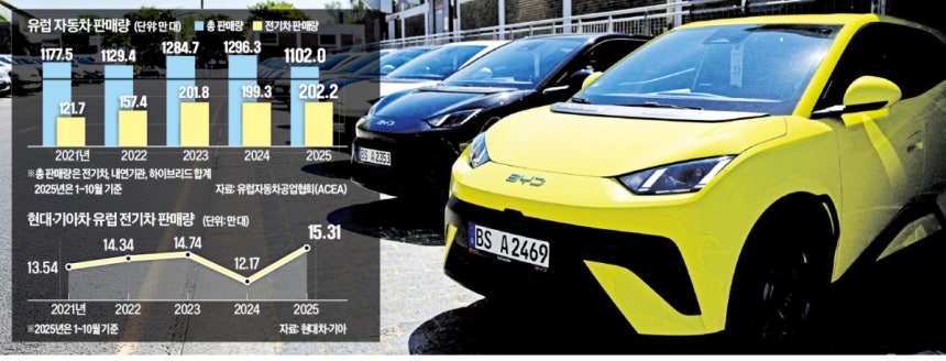 지난 5월 독일 베를린에 전시된 BYD 전기차.로이터연합뉴스