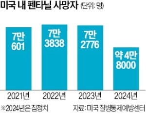"펜타닐은 대량살상무기"…美 '마약과의 전쟁' 선포
