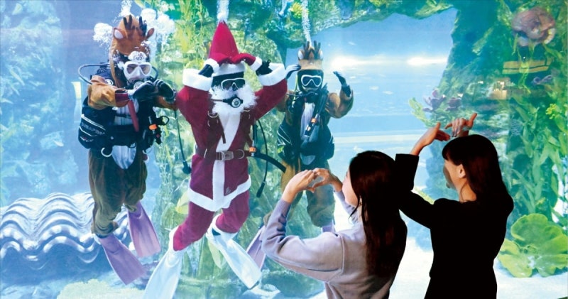 [포토] 성탄절 미리 맞은 롯데월드 아쿠아리움