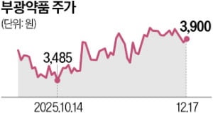 부광약품, 유니온제약 품는다…항생제·주사제 생산능력 확충