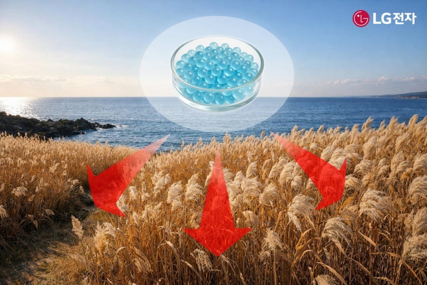 LG전자 마린 글라스 참고 이미지.사진=LG전자 제공