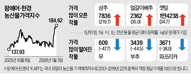 "장보러 가기 겁나"…강추위에 과일·채소값 '껑충'