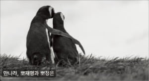 북핵 중재자 역할 요청에…習 "인내심 가져달라"