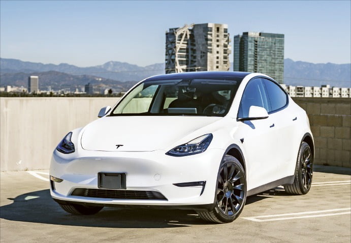 테슬라 '모델Y'