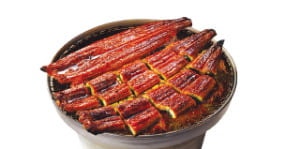 치어 풍년…바닥 기는 장어 가격