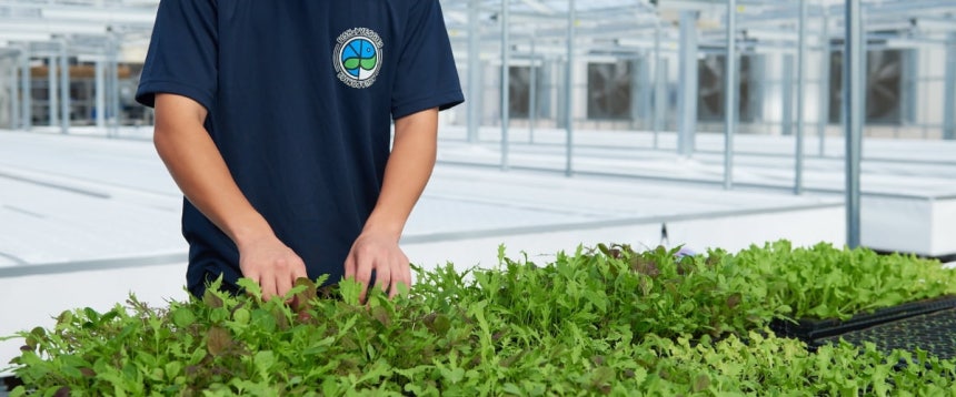 온더우마미 매장(위) 온더우아미 농장(아래) (온더우마미 제공)