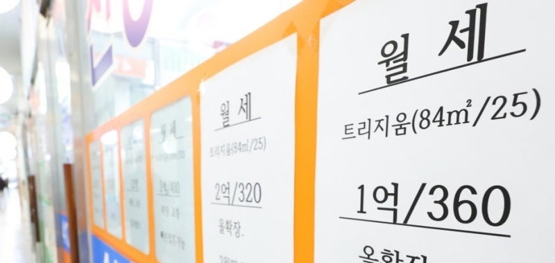 한 달에 얼마 벌길래…'월세 1000만원' 수두룩한 이유 있었다 [돈앤톡]