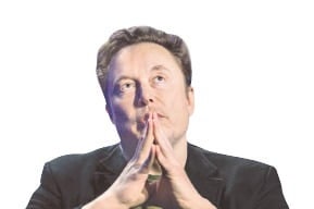 "태양광 키우겠다" 힘 싣는 머스크에 판 커지는 재생에너지