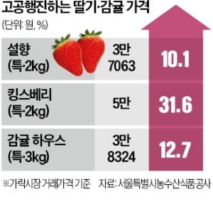 겨울 제철과일의 배신…딸기·감귤 가격 급등