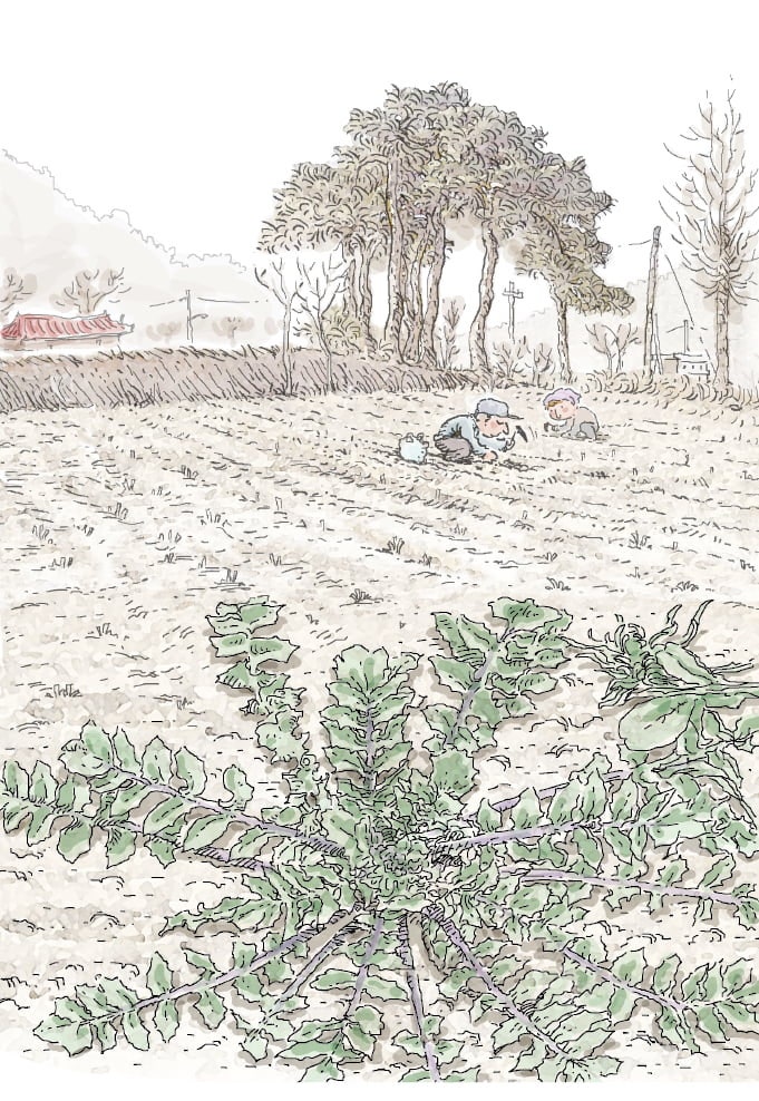 [장석주의 영감과 섬광] 겨울이 가면 냉이가 온다