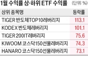 곱버스 ETF, 코스피 상승장에 손실 '눈덩이'
