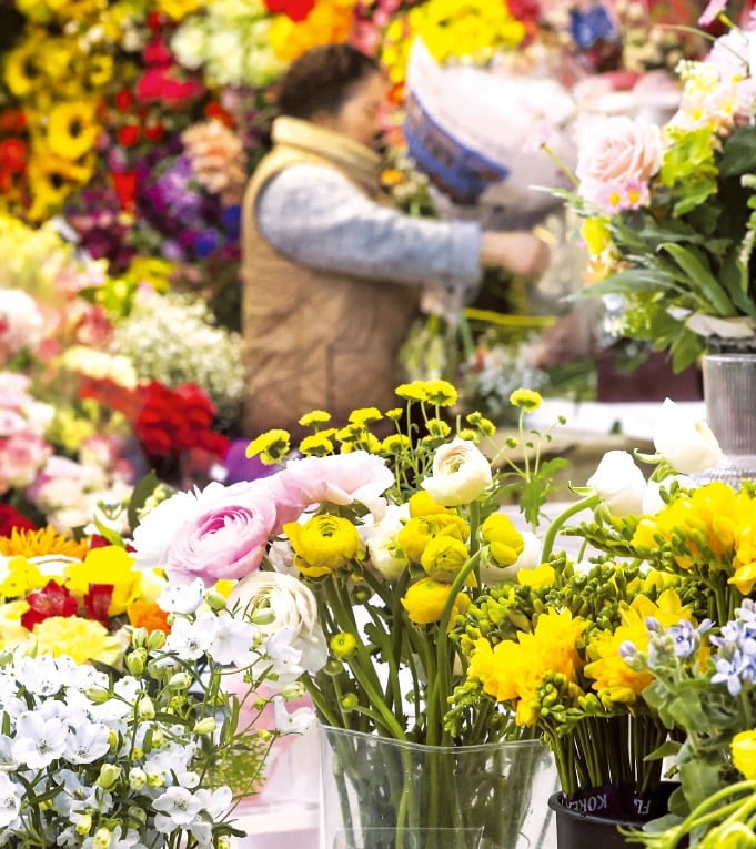 [포토] 봄이 왔어요