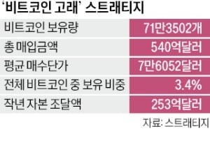 비트코인 많이 산 스트래티지, 사업 모델 의구심…주가 급락