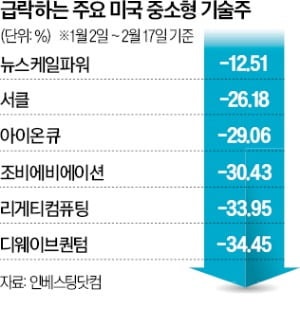 꺾이는 양자컴·SMR…'물타기' 나선 서학개미