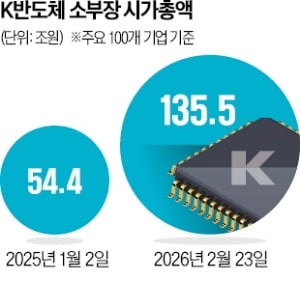 '한국이 또 1위?' 전세계 깜짝…몸값 폭등에 '130조' 뚫었다
