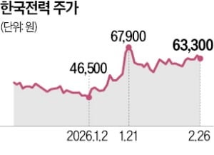 역대최대 영업익에도 한전 '숨고르기'