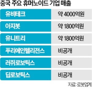 휴머노이드 '과잉투자' 교통정리 나선 中…韓 "따라잡을 기회"