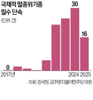 거북이·악어 밀반입 10배↑…불법거래 단속은 10년간 0건