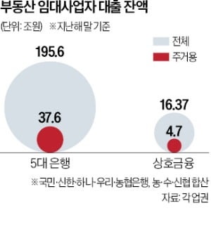 상가 임대사업자, 주거용 부동산 대출도 만기연장 막나
