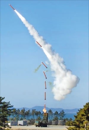 '요격률 90%' 천궁-Ⅱ, 이란 미사일 잡았다