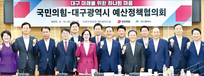 국회서 대구 경제 대변할 '선수'가 없다