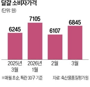 1000만 산란계 살처분…달걀 한판 7000원 육박