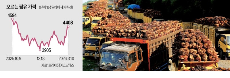 팜유, 반년 만에 최고…과자·라면 오르나