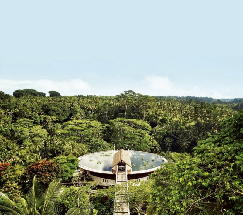 정글 한가 운데 핀 연꽃 연못…발리 시간이 완성되다