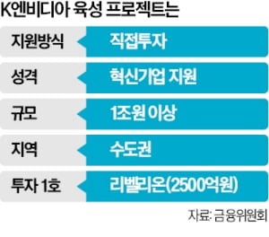 정부, K엔비디아 육성 잰걸음…올해만 10조 쏟는다