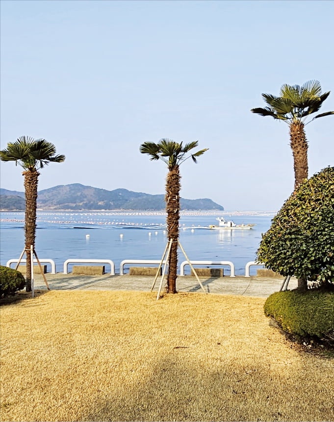 통영의 봄날, 시와 음악과 도다리쑥국…[고두현의 문화살롱]