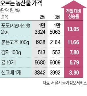 치솟는 비료값에 농산물도 '들썩'