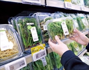 봄동 인기에 봄나물 매출 33% '쑥'