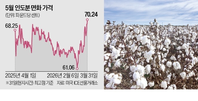 52주 최고가 찍은 면화…"가을옷 15% 비싸진다"