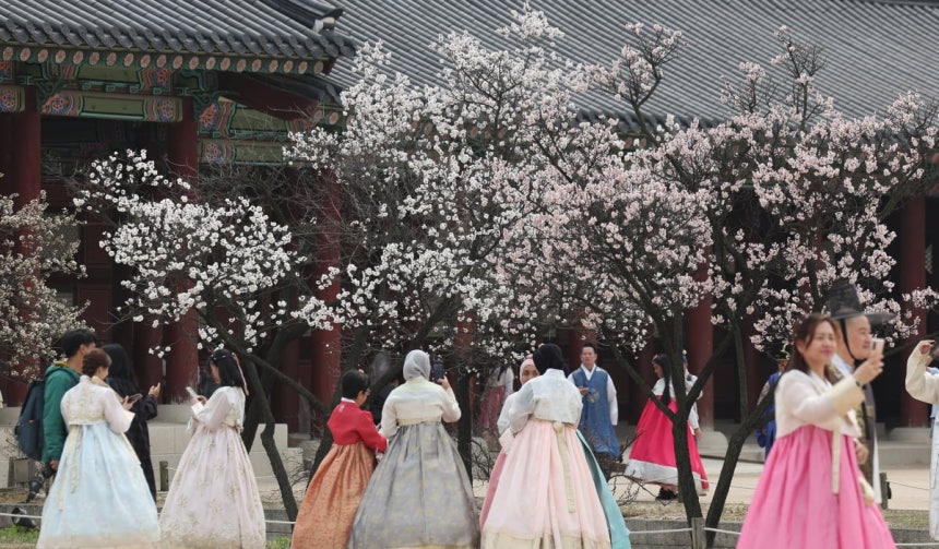 서울 종로구 경복궁을 찾은 외국인관광객들이 봄꽃을 배경으로 추억을 남기고 있다.사진=뉴스1
