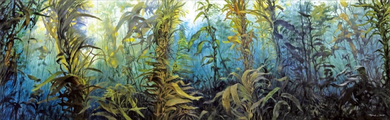 바다로 뛰어든 '물고기 화가'의 해저 세계