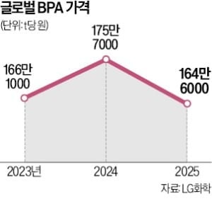 LG화학, BPA 사업부 지분 매각 검토