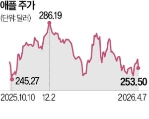 폴더블 아이폰 출시 지연설…애플 주가 '휘청'