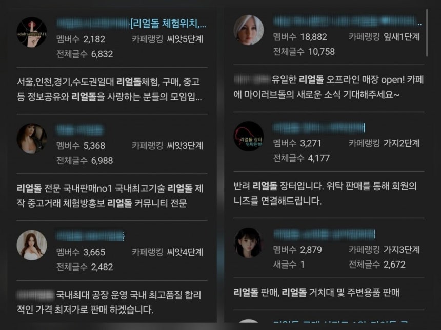 리얼돌 체험방·후기 등이 공유되는 카페의 모습. /사진=포털사이트 갈무리