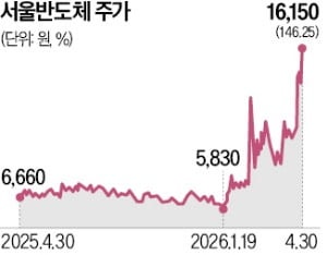 신사업으로 '바닥 탈출'…서울반도체 부활하나