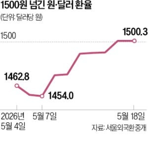 역대급 경상흑자에도…환율 왜 안 꺾이나