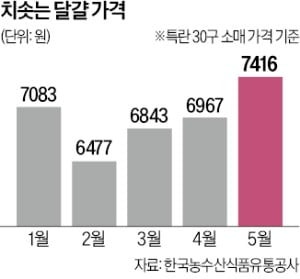 달걀 한 판 7500원 육박