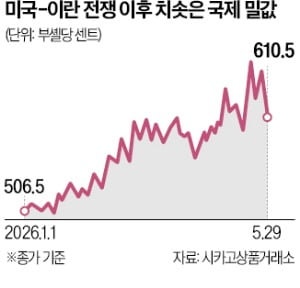 이란전쟁에 가뭄까지 겹쳐…글로벌 밀 가격 20% 올라